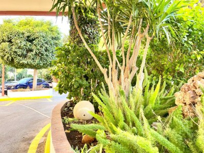 Apartment Apartment in Malaga with Sea Views & Pool - Outdoor photo 8