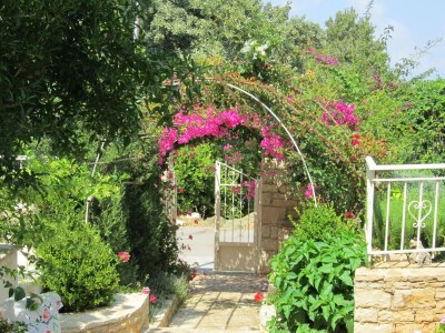Villa Villa in Prines with Cretan Sea Views - Outdoor photo 10