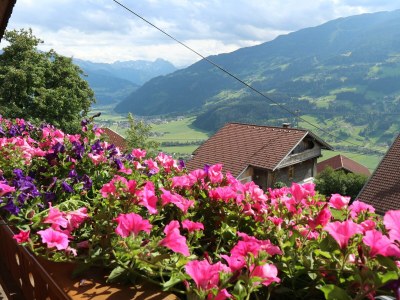 Apartment Ferienwohnung SONNENBLUME - Outdoor photo 35
