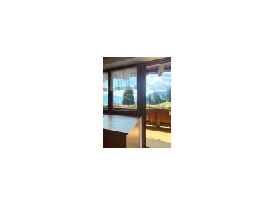 Apartment Ferienwohnung Birkenheim - Outdoor photo 8