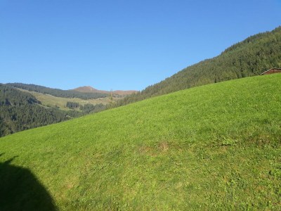 Apartment Schmalegg - Outdoor photo 16