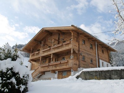 Apartment Chalet Alte Mühle - Outdoor photo 18
