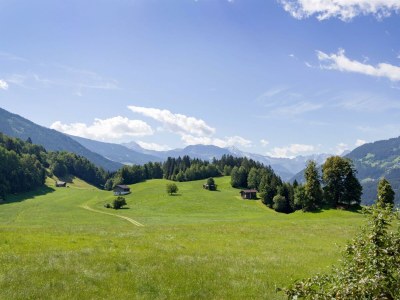 Apartment Wiesenblick - Outdoor photo 10
