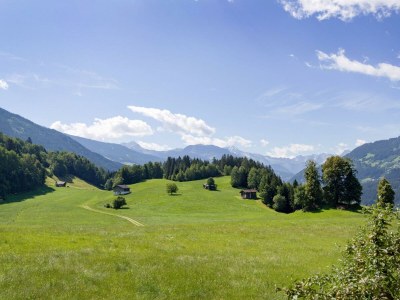 Apartment Wiesenblick - Features photo 19