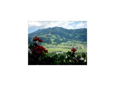 Apartment Ferienwohnung Dollnberghof - Outdoor photo 7