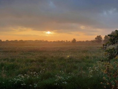 Chalet Chalet in der Natur, Friesland - Environment photo 24