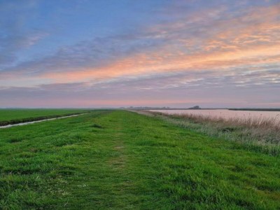 Chalet Chalet in der Natur, Friesland - Environment photo 32