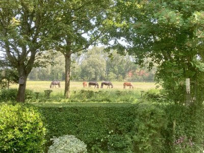 Holiday house Zilt - Outdoor photo 11