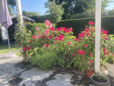 Holiday house Zilt - Outdoor photo 19