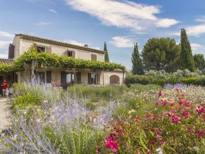 Villa Mas de Lavande in Saint Remy de Provence - Villa