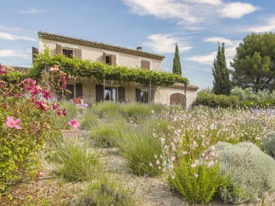 Villa Mas de Lavande - Outdoor photo 3