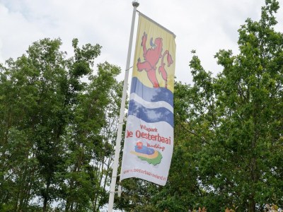 Holiday park Ferienhaus in Wemeldinge am Meer - Environment photo 42
