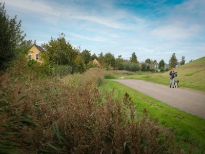 Holiday park Detached Home in Zeeland near the Coast - Environment photo 38