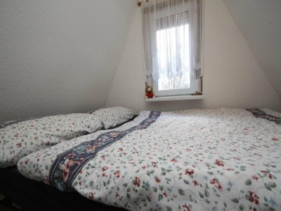Holiday house Ferienhaus am Dümmer See, Perlin - Features photo 17
