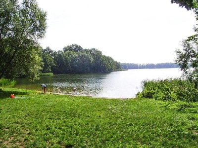 Holiday house Ferienhaus am Dümmer See, Perlin - Environment photo 23