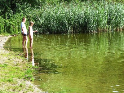 Holiday house Ferienhaus am Dümmer See, Perlin - Outdoor photo 24