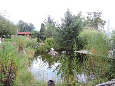 Holiday apartment Titz und Riese 3 - Outdoor photo 8