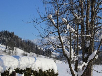 Holiday house Chalet near Passthurn Ski Area Kitzbühel - Environment photo 16