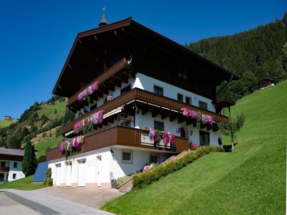 Apartment Bauernhaus in Hollersbach mit Bergblick