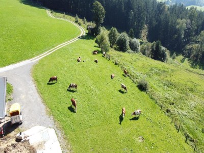 Apartment Bauernhaus in Hollersbach mit Bergblick - Outdoor photo 7