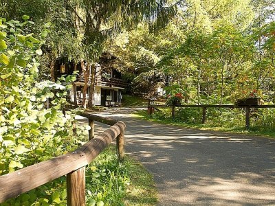Holiday park Chalet in Reinskopf mit Kamin & Balkon - Environment photo 8
