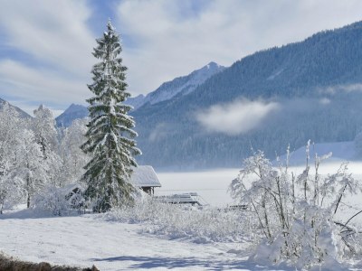 Apartment Gemütliche Ferienwohnung nahe Ski Nassfeld - Environment photo 27