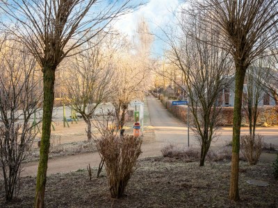 Apartment Elegant eingerichtete Ferienwohnung - Environment photo 16