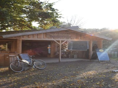 Holiday house Chalet in Wendorf - Environment photo 20