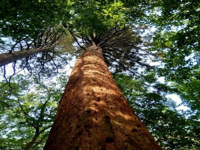 Holiday house Chalet in Wendorf - Environment photo 26