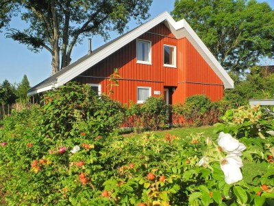 Holiday house exklusives skandinavisches Ferienhaus - Outdoor photo 2