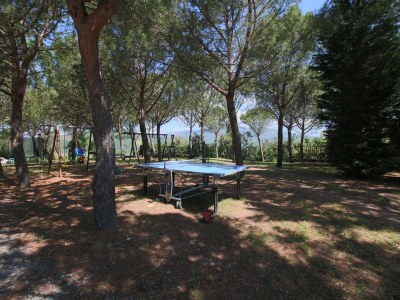 Farmhouse Bauernhaus in Arezzo, Elba - Outdoor photo 45