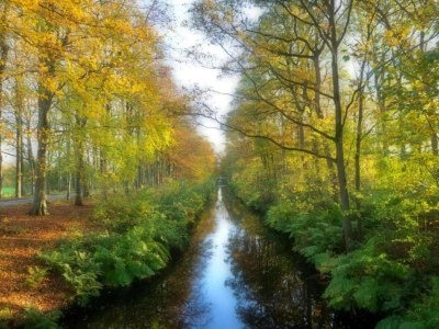 Holiday park Aufenthalt am Wasser mit Haustieren - Environment photo 27
