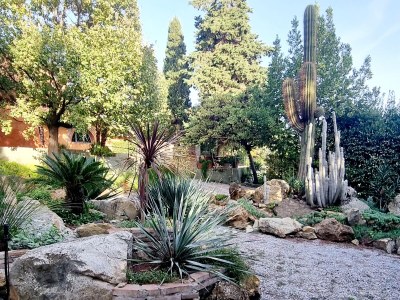 Villa La Piastraia - Outdoor photo 16