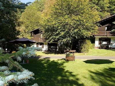 Holiday park Chalet in Reinskopf with Fireplace and Balcony in Snowy Eifel - Holiday park