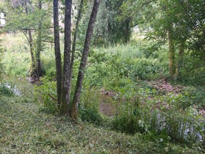 Holiday park Feriendorf Reinskopf in der Eifel - Environment photo 20