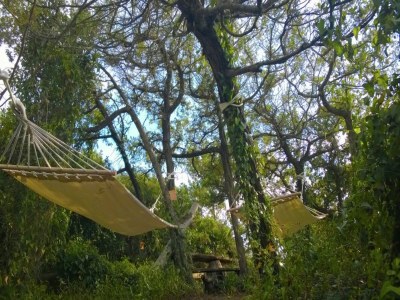 Holiday house Charm in Castagneto Carducci - Outdoor photo 9