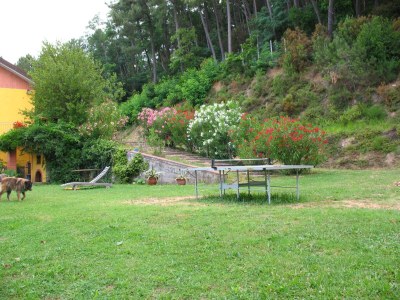 Holiday house Ferienhaus in Pescia mit privatem Pool - Outdoor photo 6