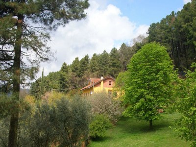 Holiday house Ferienhaus in Pescia mit privatem Pool - Outdoor photo 10