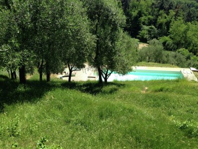 Holiday house Ferienhaus in Pescia mit privatem Pool - Outdoor photo 13