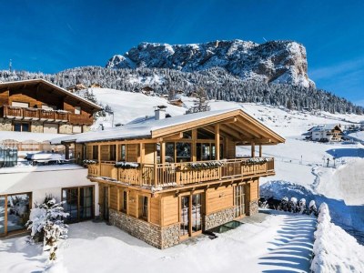 Apartment Chalet in Dienten mit Ski-In & Pool - Environment photo 18