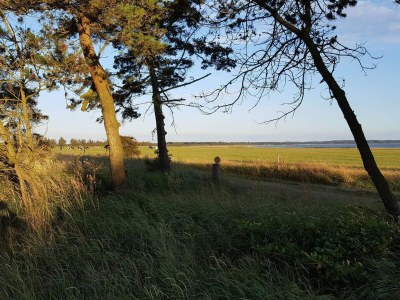 Holiday house 6 person holiday home in Løgstør-By Traum - Outdoor photo 24