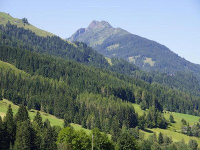 Apartment Chalet in Leogang nahe Skipisten - Environment photo 23