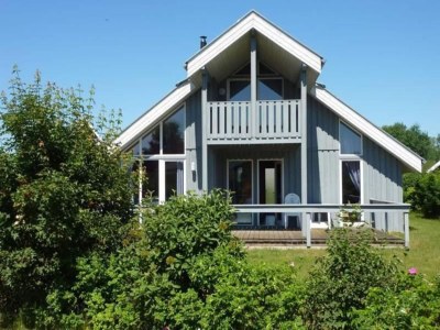 Holiday house Ferienhaus im Ferienpark Mueritz in Müritz - Holiday house