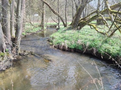 Holiday park Apartment in Netherlands near Scenic Views - Environment photo 18
