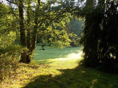Holiday park Ruhiges Waldchalet - Environment photo 21