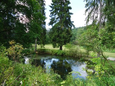 Holiday park Ruhiges Waldchalet - Environment photo 29