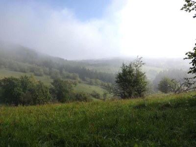 Holiday park Tent Lodge by Echternach & Eifel Nature Park - Environment photo 34