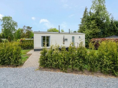 Holiday park Chalet im Parc de Kievit mit Garten - Holiday park