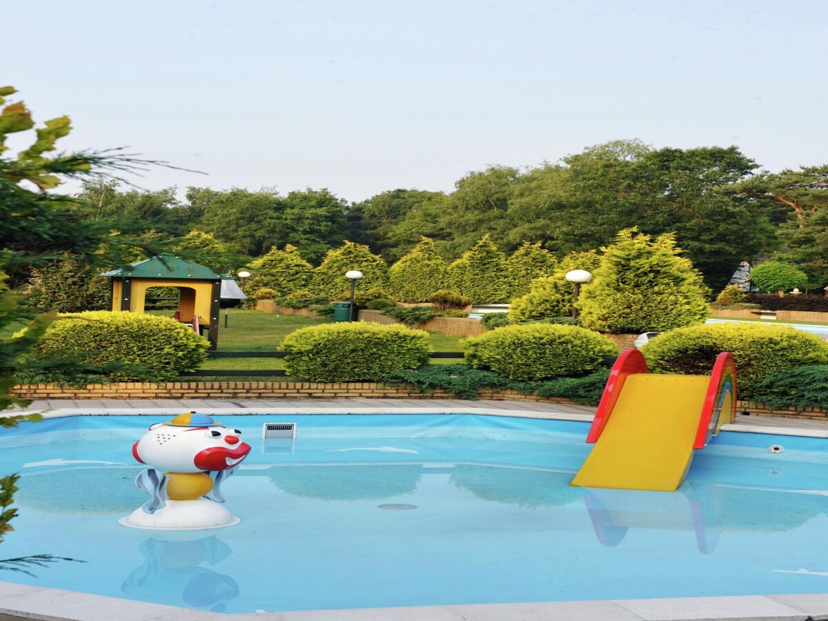 Holiday park Chalet in Holiday Park with Private Terrace - Outdoor photo 3