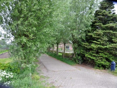 Holiday park Holiday Home in Netherlands Pond View - Environment photo 27